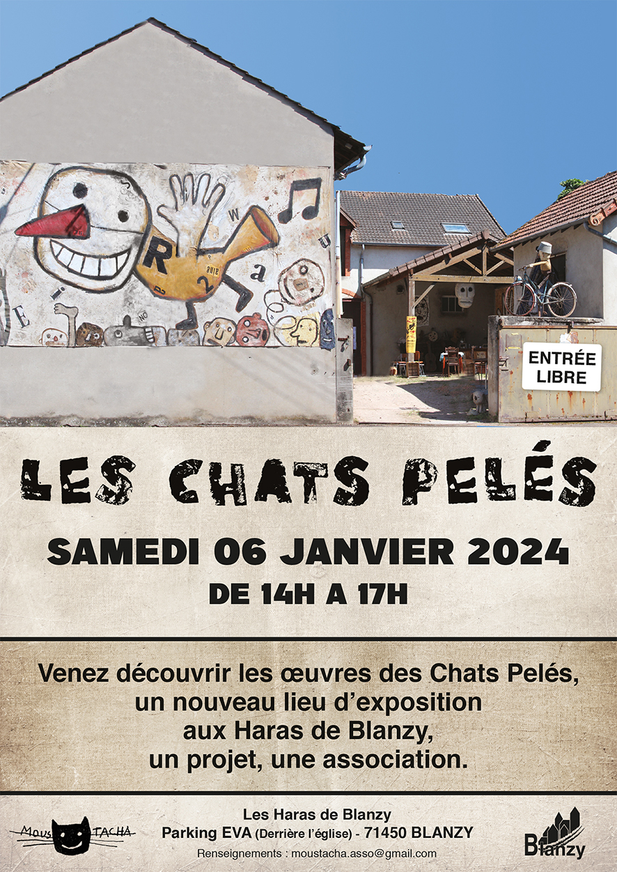 Exposition Chats Pelés Blanzy